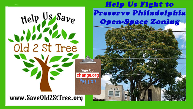 Tree Petition OpenSpace